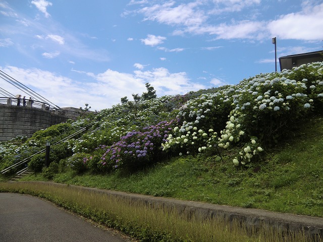 a0006033_12104912.jpg