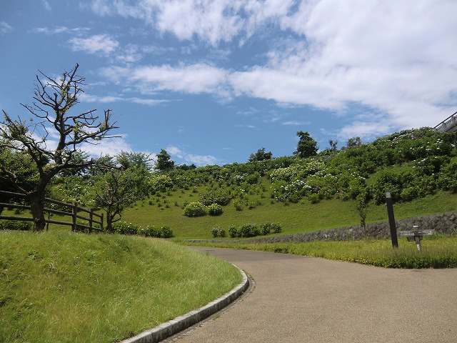 a0006033_1211182.jpg