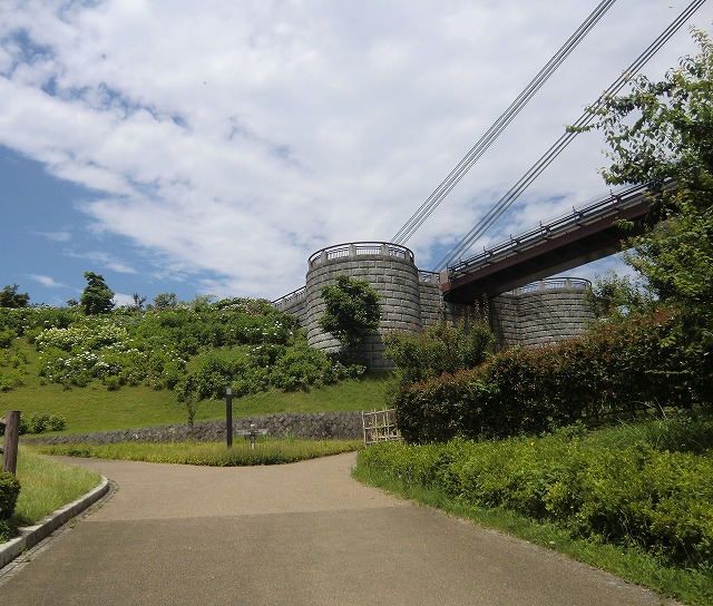 a0006033_12115084.jpg
