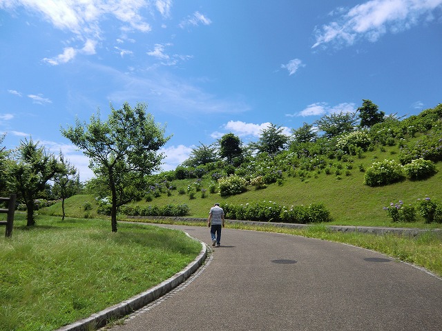 a0006033_1212336.jpg