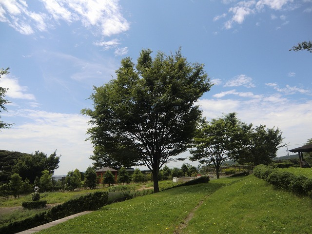 a0006033_12124112.jpg