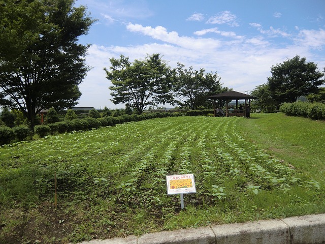 a0006033_12125363.jpg