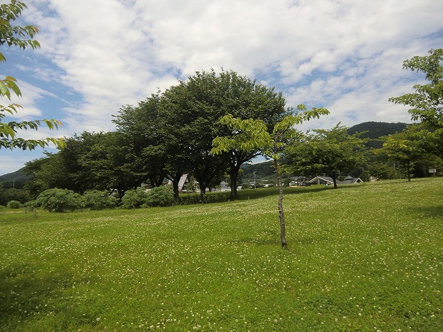 a0006033_12131898.jpg