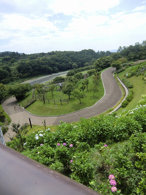 a0006033_12134031.jpg