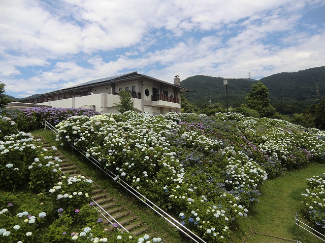 a0006033_12135228.jpg