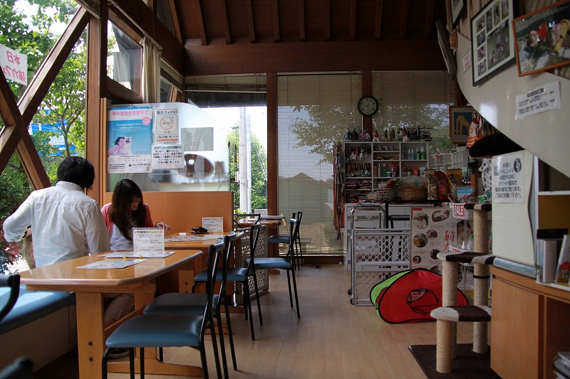 富山県小杉「Cafe & Shop パウ」_d0167436_12595399.jpg