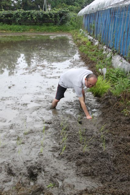 田植え体験レポート_d0159738_10252784.jpg