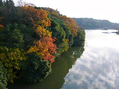 e0022839_0534736.jpg