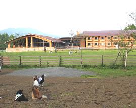 WOOFで再会♪その2_e0195743_3423715.jpg