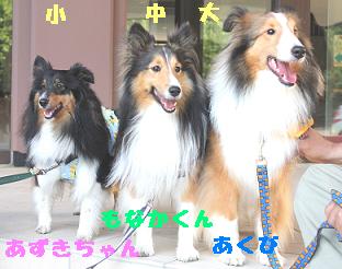 WOOFで再会♪その2_e0195743_342411.jpg