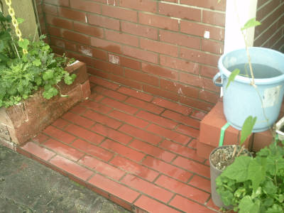 e0033751_12384893.jpg