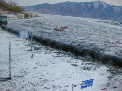 大きな関心が・・・・_b0115553_7524416.jpg