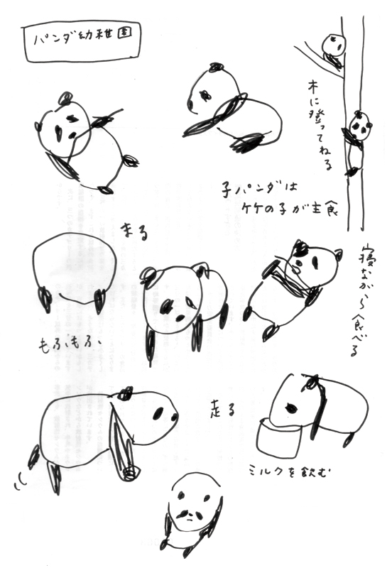 パンダようちえん_b0126653_9415451.jpg