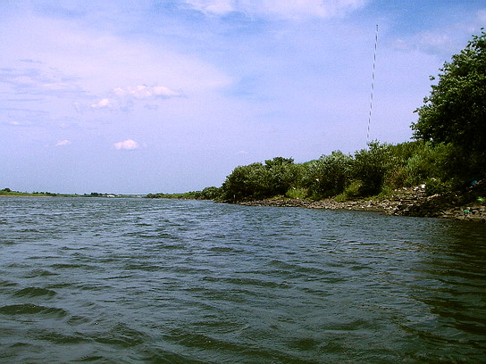 f0084561_144370.jpg