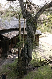 b0021766_21314794.jpg