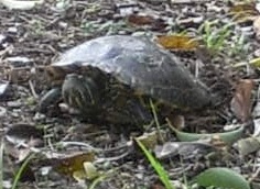e0212073_23482516.jpg