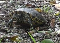 e0212073_23484515.jpg