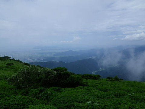 伊吹山自然観察&醒ヶ井バイカモ_c0002874_711572.jpg