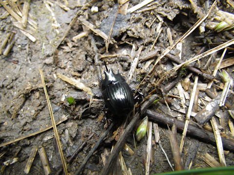 c0002874_7131235.jpg