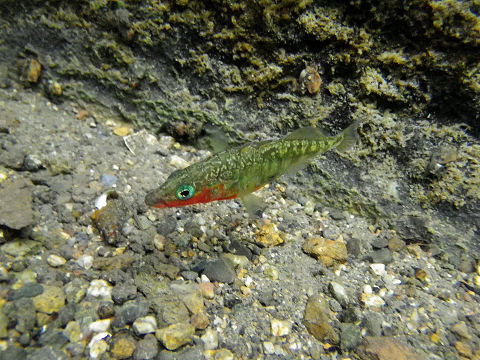 c0002874_7173646.jpg