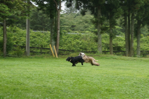 d0111174_13562847.jpg