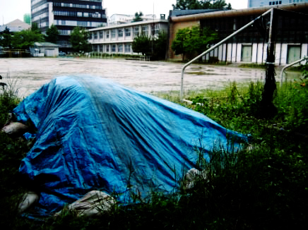 ▼雨傘と線量計のブルーシートの上での出会い_d0017381_034793.jpg