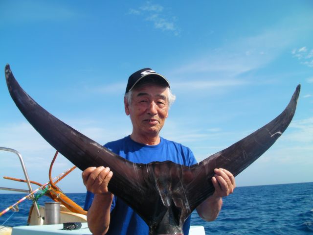 a0133388_1033236.jpg