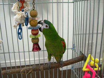 f0234590_83159.jpg