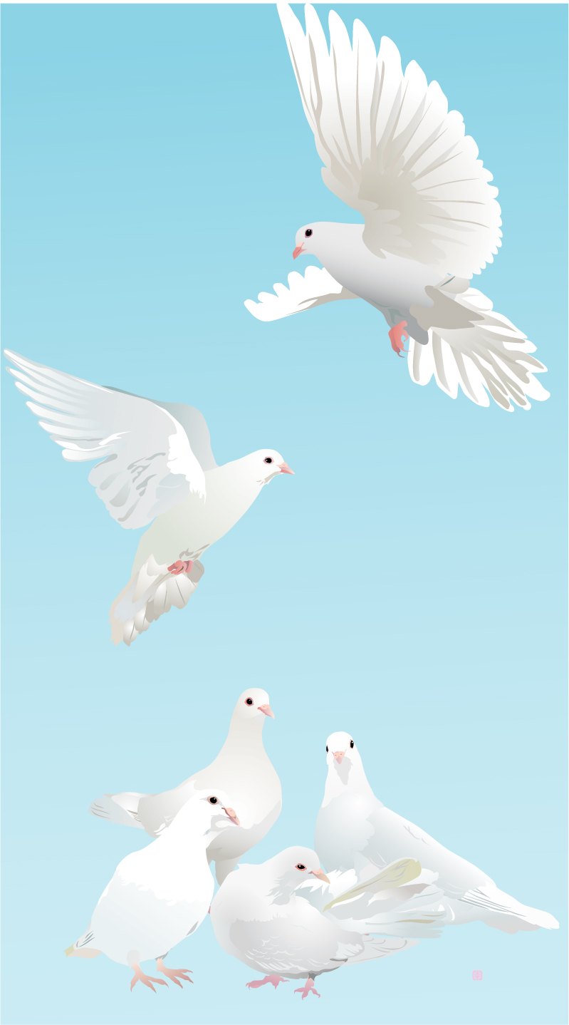 白い鳩 Piro Piro とりアート