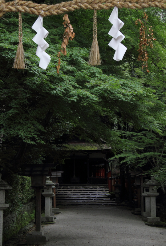 上賀茂神社　Ⅲ  _a0046000_1852972.jpg