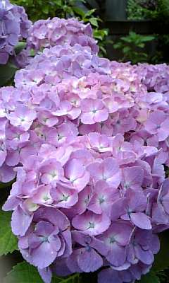 a0013905_22443111.jpg