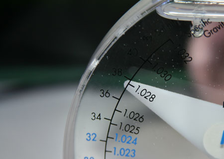 c0165807_208430.jpg