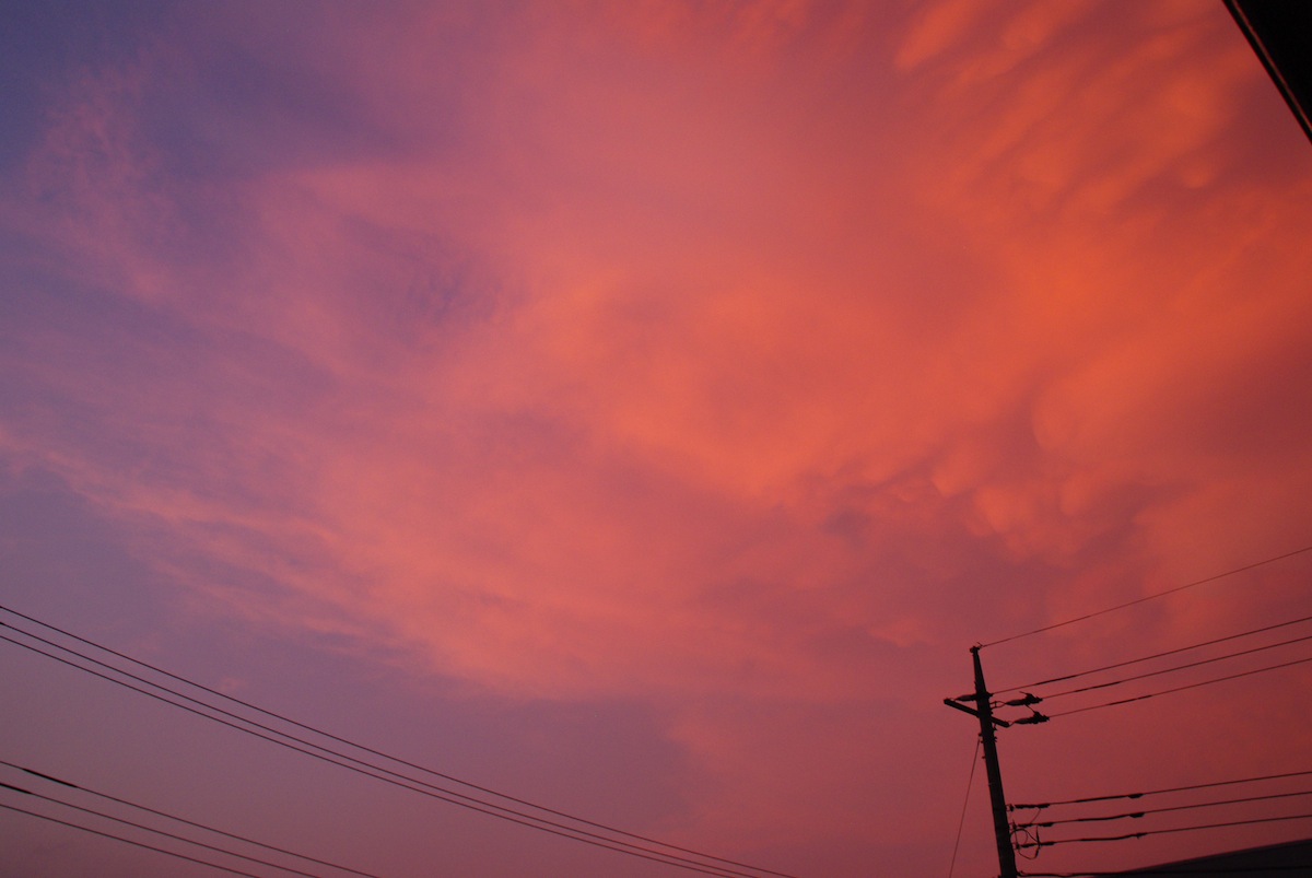 サーモンピンク_f0138807_2055191.jpg
