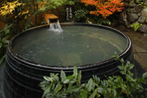 2011比叡山ヒルクライム リザルト と 大原の里_a0194908_133742.jpg
