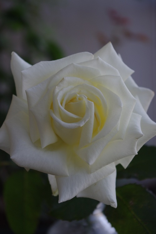 c0147909_2221278.jpg