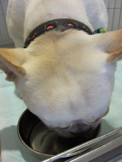 定休日は、オフィスで・・・。_d0091909_8412435.jpg