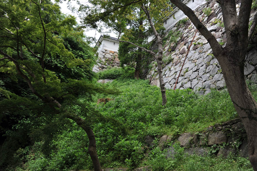 唐津城 (佐賀県)_a0042310_15293248.jpg