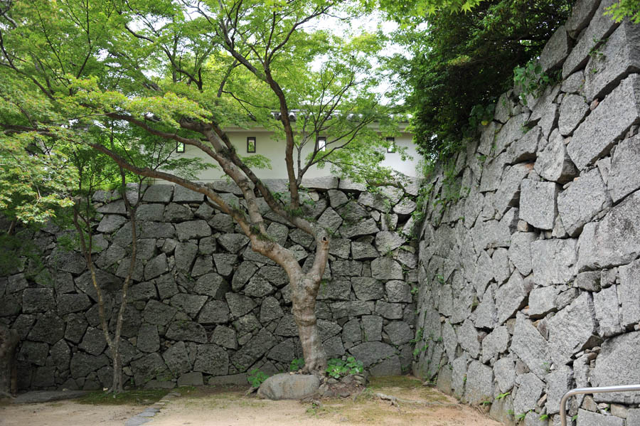 唐津城 (佐賀県)_a0042310_153122.jpg