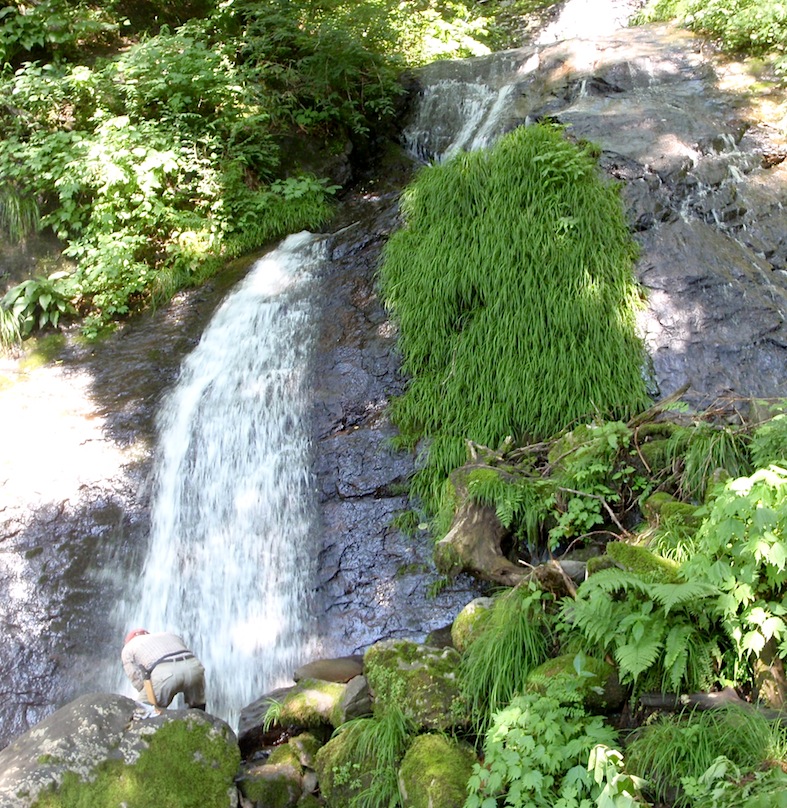 草刈隊　水曜組　大佛寺山　６月29日（水）_c0078410_22494295.jpg