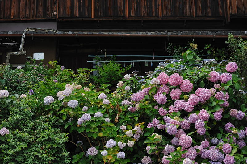 町角寸景_f0032011_19252313.jpg
