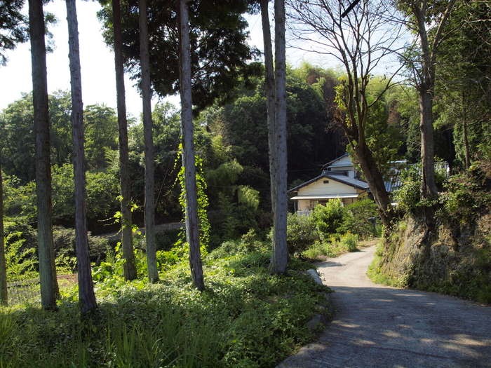 安芸津町の実家へ。。_c0116915_23534365.jpg