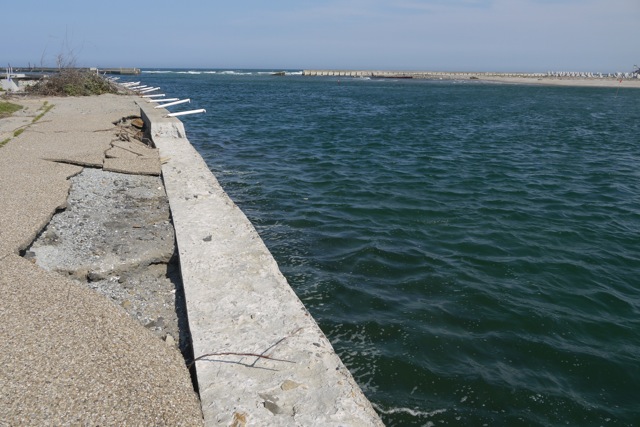 f0143119_7282940.jpg