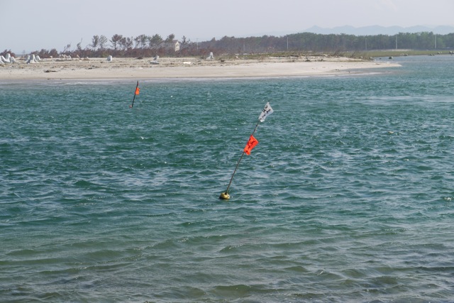 f0143119_7341744.jpg