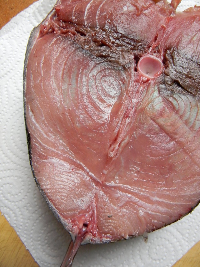 スペイン北のマグロの季節になりました!_c0213220_1754424.jpg