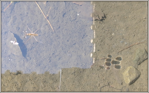 e0171120_226509.jpg