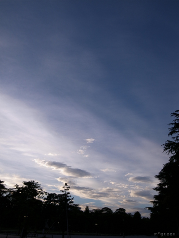 e0171120_2282845.jpg