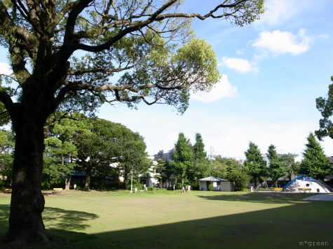 e0171120_228348.jpg