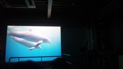 チャリティースライドショー&ライブ「SLOW MOTION」_a0083222_16502939.jpg