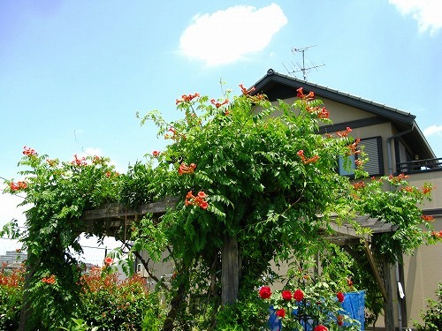 e0072023_20362455.jpg