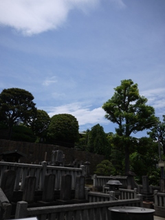 b0037737_9225030.jpg